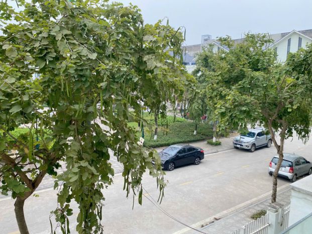 Cho thuê sàn văn phòng đẹp giá tốt kđt geleximco lê trọng ấn 7118229