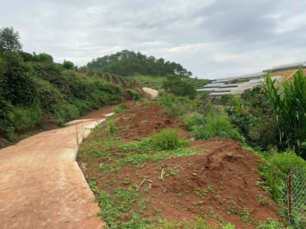 Sở hữu ngay lô đất đẹp - giá tốt - vị trí đắc địa tại đa 7118491