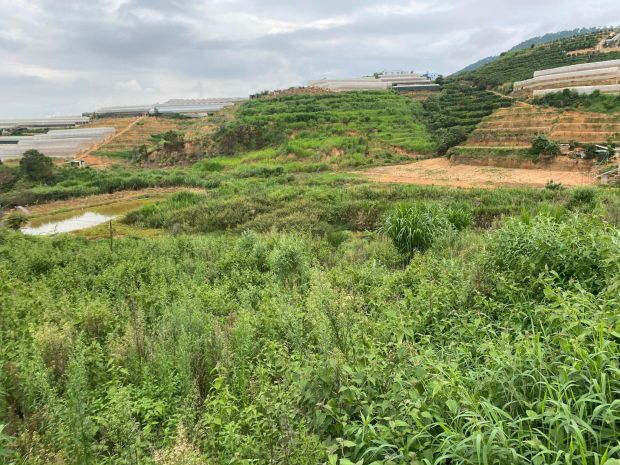 Sở hữu ngay lô đất đẹp - giá tốt - vị trí đắc địa tại đa 7118492