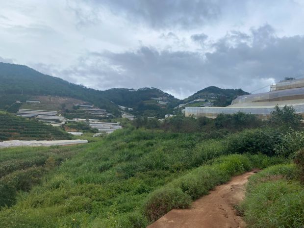 Sở hữu ngay lô đất đẹp - giá tốt - vị trí đắc địa tại đa 7118493