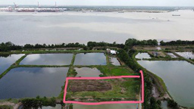 Đất đẹp xã lý nhơn - cần giờ - hcm 7118650