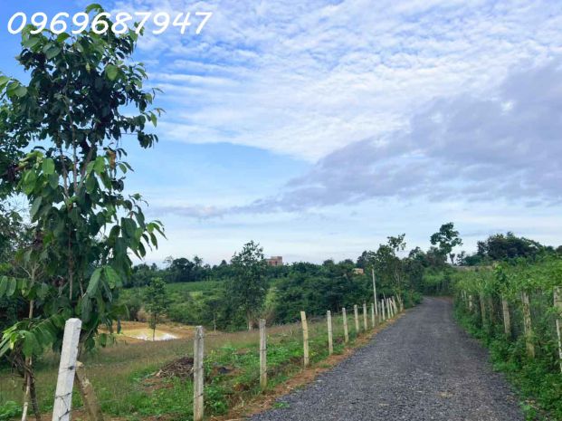 Lô đất đỏ 1.3 hecta - phường eakao - t. đăk lăk - 750tr sào 7119901