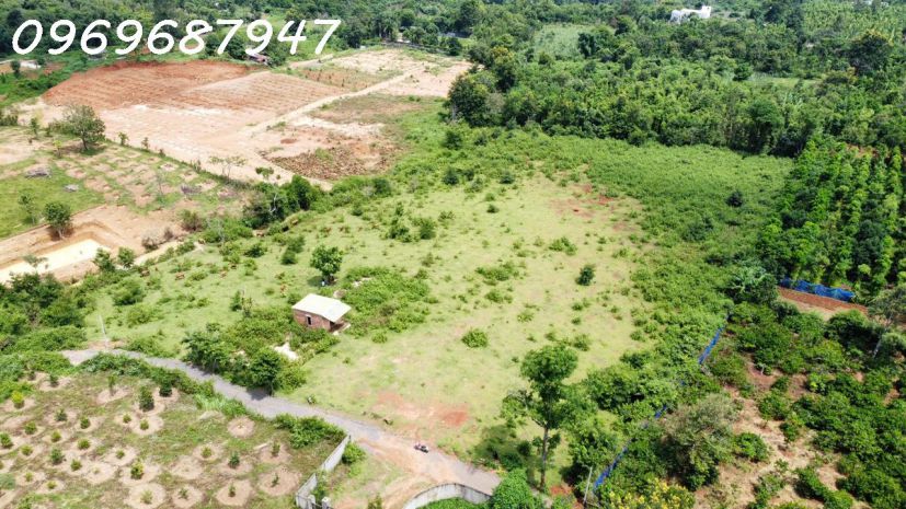 Lô đất đỏ 1.3 hecta - buôn ma thuôt - 750tr sào 7120844