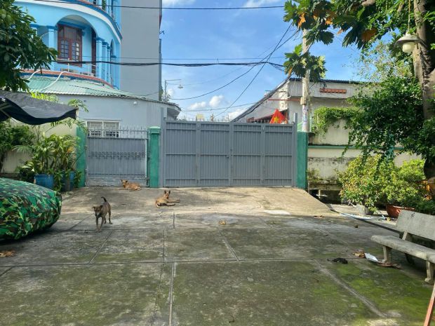 Siêu phẩm biệt thự sân vườn q12  1.000m² thổ cư hiếm giá rẻ 7120938