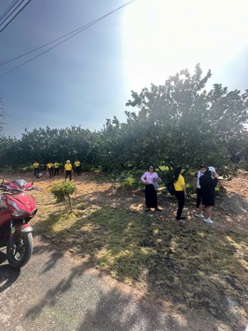 Bán đất tặng vườn bưởi thu hoạch số lượng có hạn giá chỉ 3tr 7120963