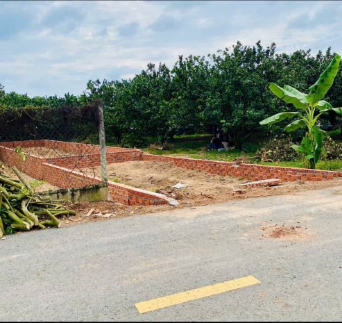 Bán đất tặng vườn bưởi thu hoạch số lượng có hạn giá chỉ 3tr 7120965