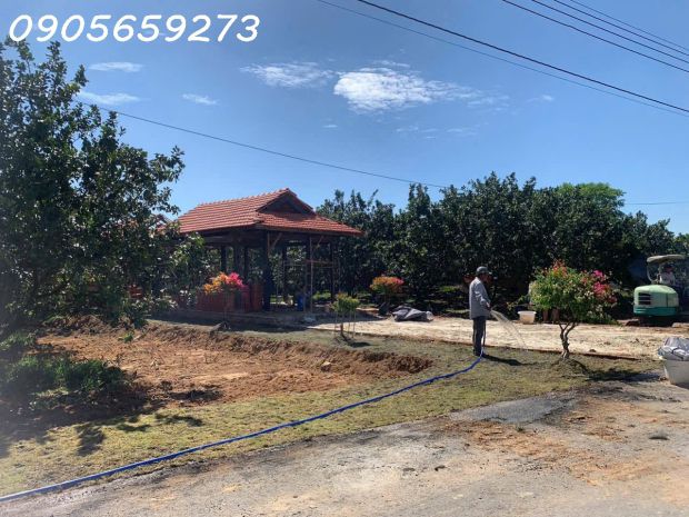 920triêu260m2 có 100m2 th cư - đất trừ vắn thố - bàu bàng : 7121757