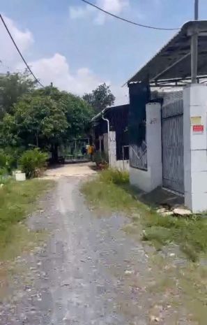 Đất sổ hồng 3587m2 - bình mỹ -củ chi- mt huỳnh minh 7128019