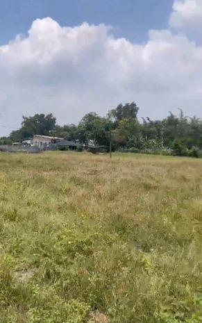 Đất sổ hồng 3587m2 - bình mỹ -củ chi- mt huỳnh minh 7128022