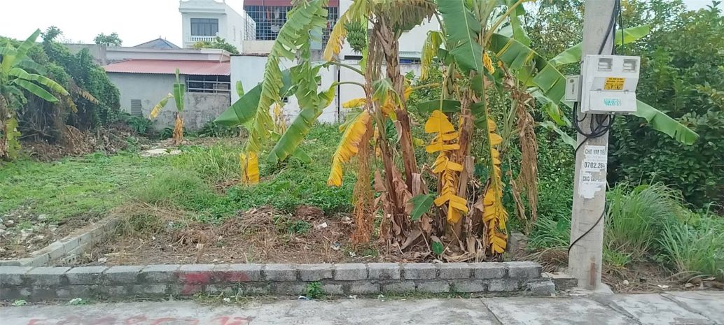 Bán đất tân thành dương kinh 100m2  ngõ 5m trục đẹp  giá 7129125