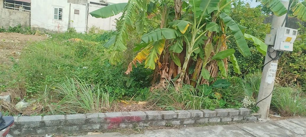 Bán đất tân thành dương kinh 100m2  ngõ 5m trục đẹp  giá 7129127