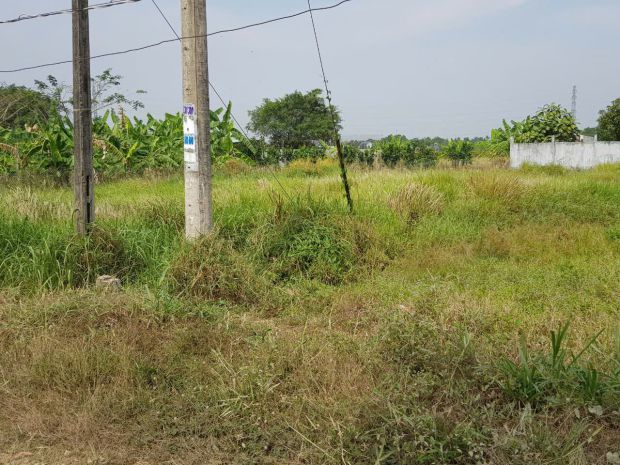 Chính chủ cần bán lô đất mặt tiền đường quách văn tuấn, 7129501