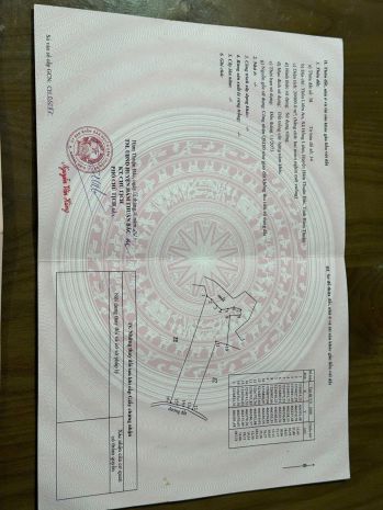 Bán đất trồng thanh long  giá tốt tại bình thuận 7130354