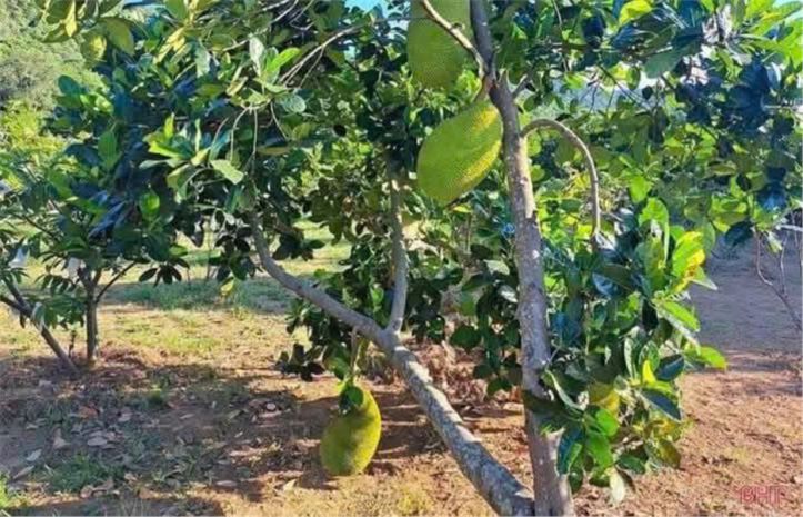 Đất vị trí đẹp- giá đầu tư cần bán nhanh lô đất tại huyện 7132961