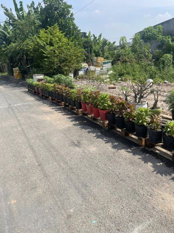 Ban đât măt tiên đương nhưa 12m ngang 5x19m gia 5 7135272