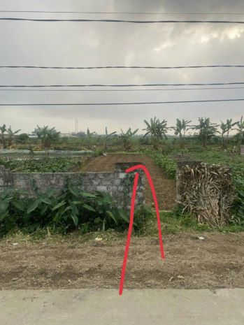 Bán nhanh lô đất đẹp  vuông vắn - giá tốt  hưng hà, thái 7135970