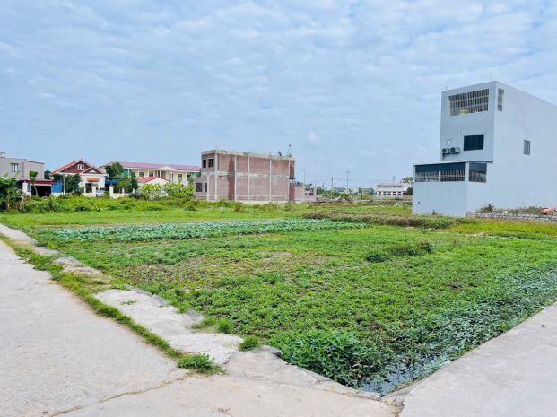 Giá chỉ 1.5x tỷ  lô đất cẩm hoàn  ngay khu đấu giá vườn 7136226