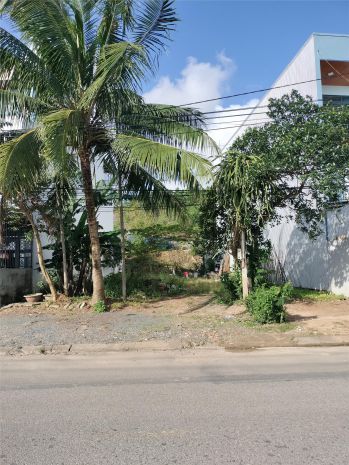 Đất mặt tiền đường 7m5  cẩm lệ  giá chỉ 3,25 tỷ 7136380