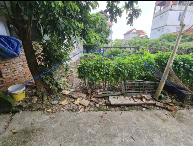 Chính chủ cho thuê đất tại thôn phú mỹ, xã ngọc tảo, huyện 7136877