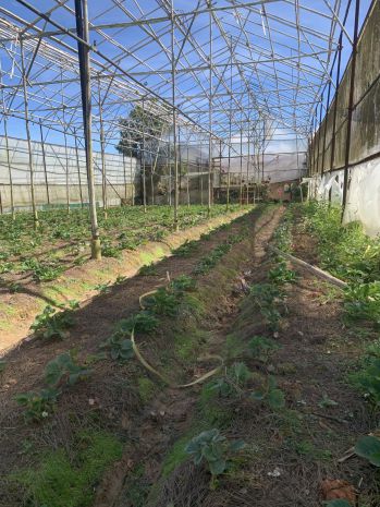 Sở hữu ngay lô đất mặt tiền đẹp - giá tốt - vị trí đắc địa 7136993