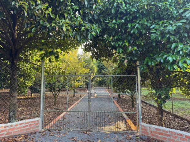 Đón đầu dầu giây  đất full thổ cư - 775tr125m², sổ riêng 7138184