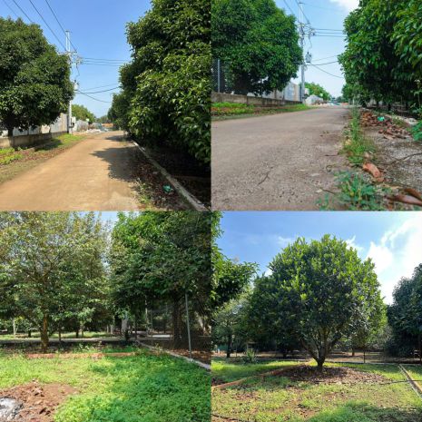 Đón đầu dầu giây  đất full thổ cư - 775tr125m², sổ riêng 7138187