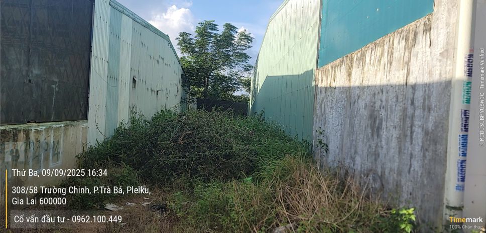 Đất 5*31 hẻm chính 308 trường chinh ngay gần ubnd p.hội phú 7138336