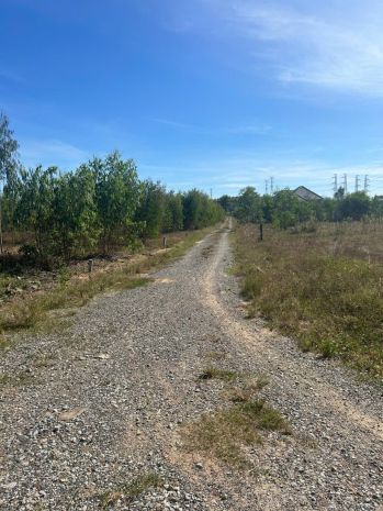 Bán 1031m2 đất ont hẻm quốc lộ 55 - hàm thuận nam giá gốc 7138531