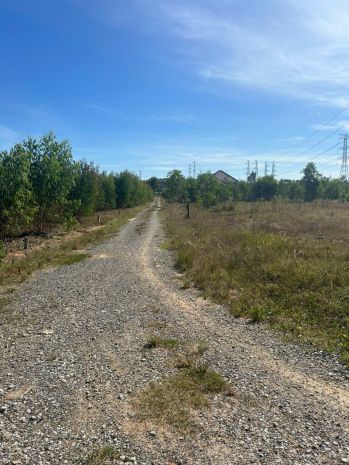 Bán 1031m2 đất ont hẻm quốc lộ 55 - hàm thuận nam giá gốc 7138533