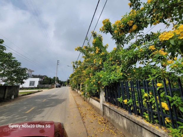 Đất đẹp view hồ tại đoài phương, 3,5 tỷ, 100m2, mặt tiền 7139848