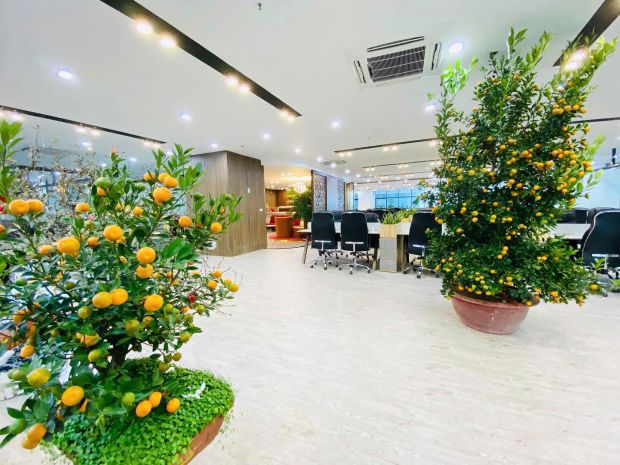 Chính chủ cho thuê mặt bằng văn phòng  600m² tại xuân 7141029