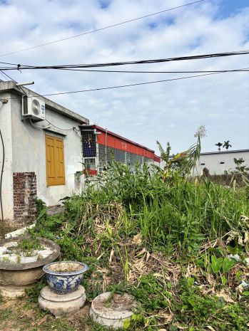 Đất 90,2m² quang trung minh đức  cách thượng đức hơn 100m 7141522