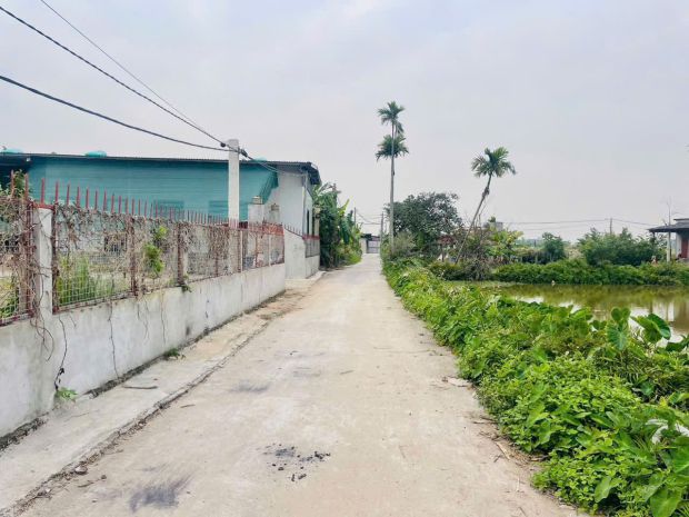 Đất f0 quyết tiến nam đồ sơn  ngõ gần 4m ô tô vào  giá 7141890