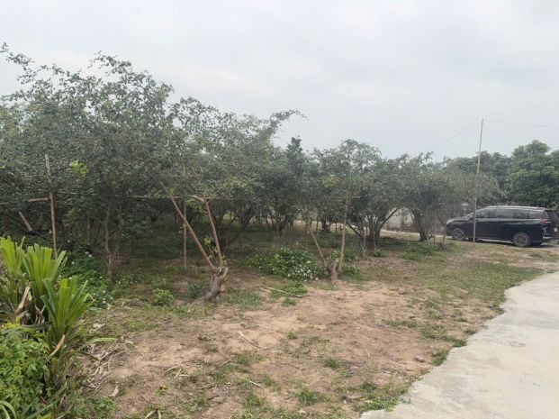 Đất nền chũ bắc ninh giá 380 triệu  400m2  đường ô tô 7142936