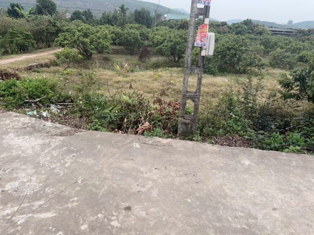 Đất nền chũ bắc ninh giá 580 triệu  480m2  đầu tư tốt 7142956