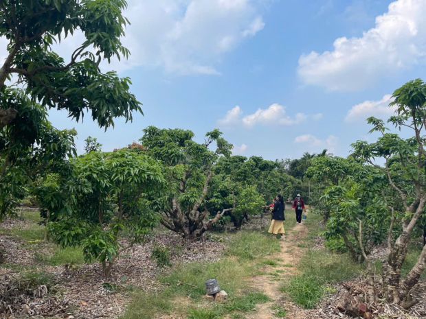 Đất nền chũ bắc ninh giá 630 triệu  500m2  vị trí đẹp 7142958