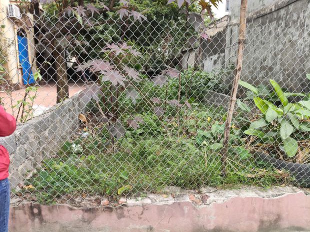 Đất chính chủ 88,4m2. đẹp, rẻ nhất phụng châu 7143556