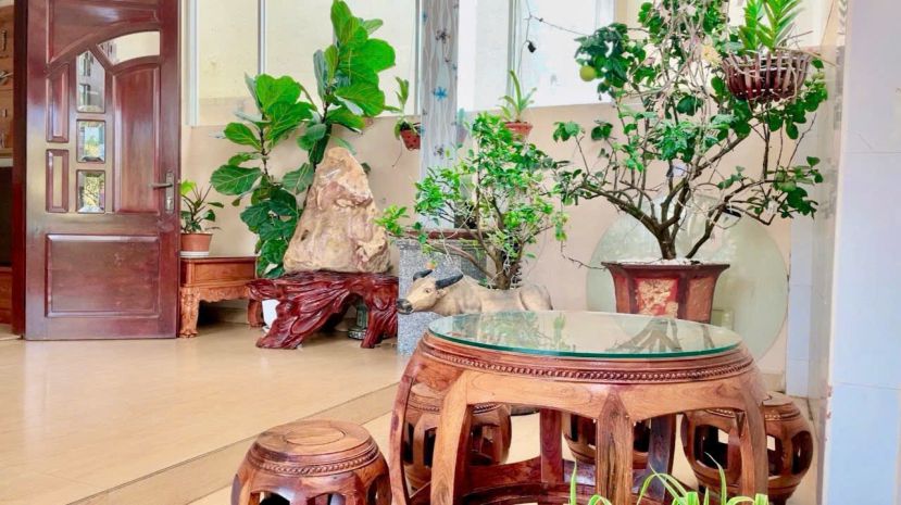 Cho thuê nhà nguyên căn phan chu trinh phường 9 đà lạt giá 7145624