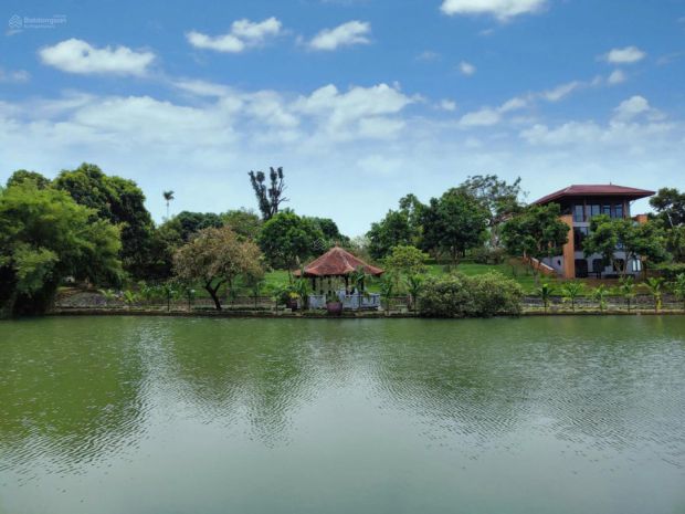 Chính chủ bán đất đồng trạng hòa lạc, sát khu cnc, đại học 7145689