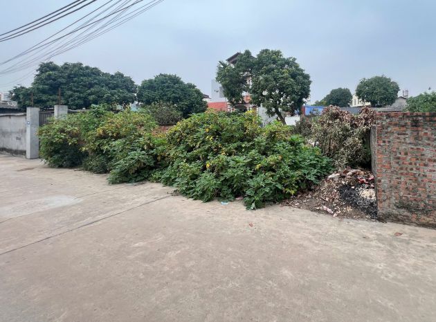 Chính chủ cần bán gấp đất thắng trí minh trí sóc sơn 7147773