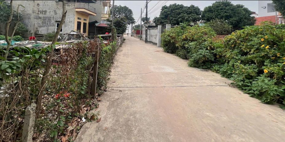 Chính chủ cần bán gấp đất thắng trí minh trí sóc sơn 7147775