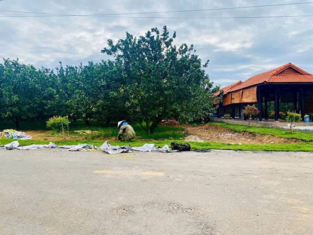 Bán đất nền giá tốt  trừ văn thố, bầu bàng hcm 7148076