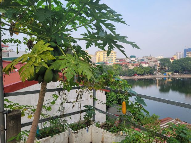 Lê trọng tấn , 1 mặt hồ, 1 mặt ngõ, giữa phố, giá trị cốt 7148745