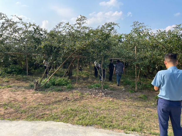 Đất nền chũ bắc ninh giá 480 triệu  400m2  gần khu dân cư 7152882