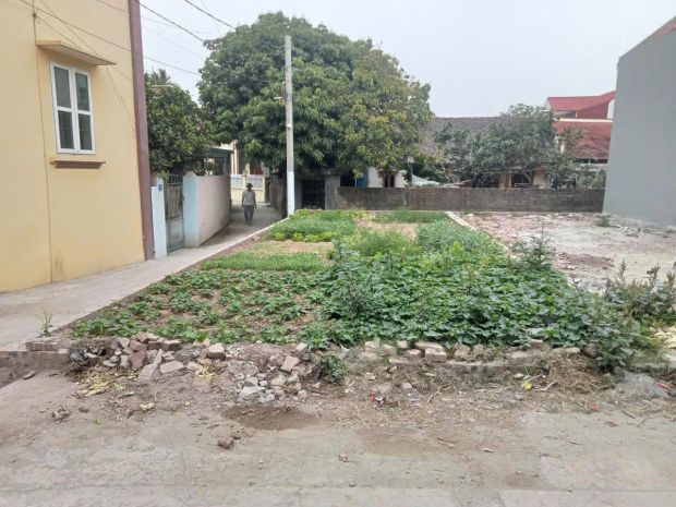 Duy tiên, hà nam- chính chủ bán lô đất góc 3 mặt tiền  vị 7154701