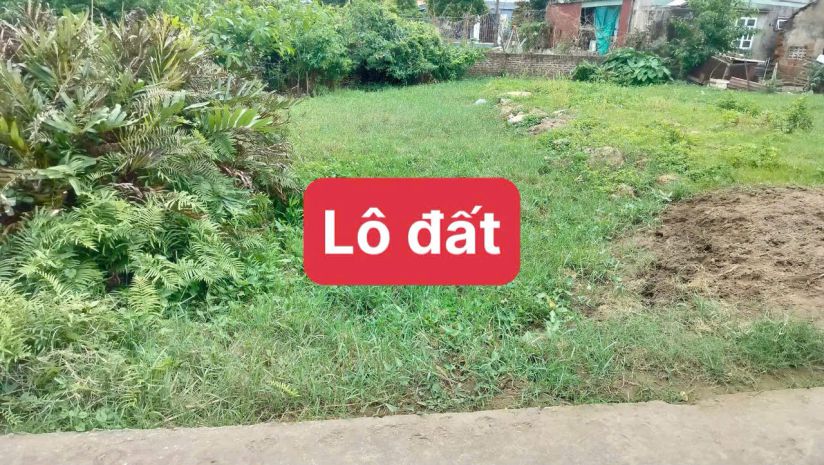 Đất ngõ 199 tân thành  dương kinh  100m²  giá 2 tỷ.x  lô 7154905