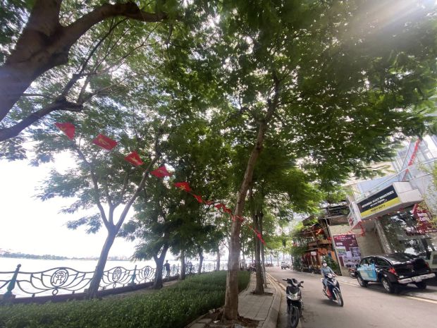 Siêu phẩm mặt phố vệ hồ, quảng an 366m2 4t mt 11m, view 7156780