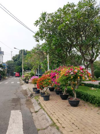 Nhà đẹp khu vip bông sao  4 tầng btct  hxh 6m  nở hậu 7157714