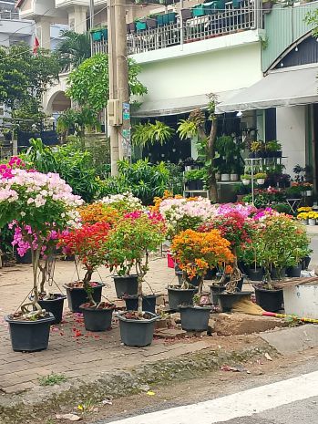 Nhà đẹp khu vip bông sao  hxh 6m  4 tầng  chỉ 9 tỷ 7157760