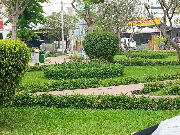 Nhà đẹp khu vip bông sao  hxh 6m  4 tầng  chỉ 9 tỷ 7157761